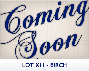 Birch